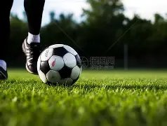 开云,体育,资讯,开云·体育APP下载,开门见喜,Kaiyun,Sports,官方网站