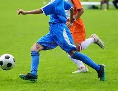 开云,体育,资讯,开云·体育APP下载,开门见喜,Kaiyun,Sports,官方网站