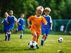 辽宁球迷树,上望,铁心藏诗传,开云·体育APP下载,开门见喜,Kaiyun,Sports,官方网站