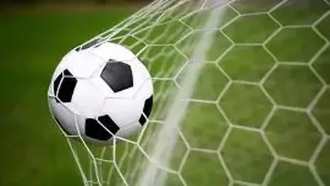 揭秘海港队三冠王传奇：十年如一日稳定之师，幕后换血大计悄然揭晓！