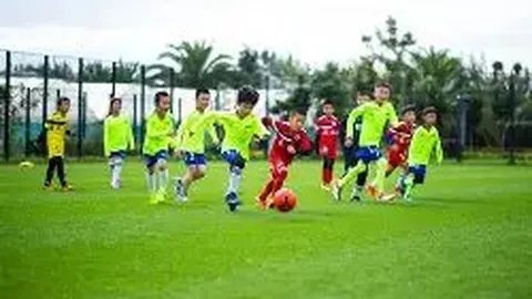 范思琦逆袭战！连赢三局绝地反击，山东女排3-2力克河北，荣耀夺冠！