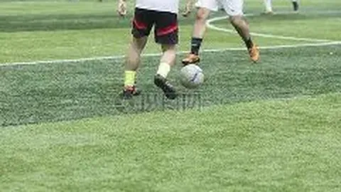 开云APP体育 资讯 102004 4ov