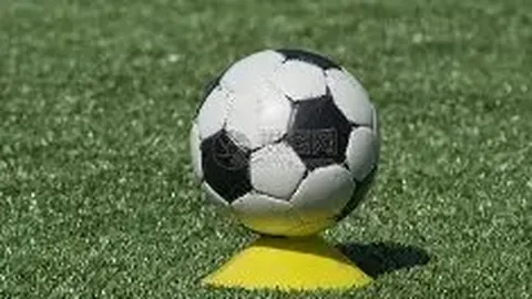 开云APP体育 资讯 102809 u7n