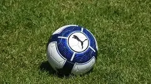 开云APP体育 资讯 103143 2dc