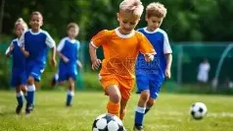 辽宁球迷树上望，铁心藏诗传喜讯，李提香加盟在即！