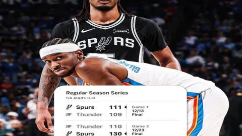 澳超关键对决：水手主场挑战狮吼