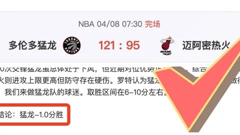 丹佛掘金主场强势，NBA专家期号全胜解析
