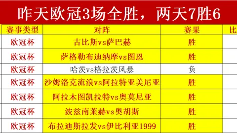 开云体育 143003